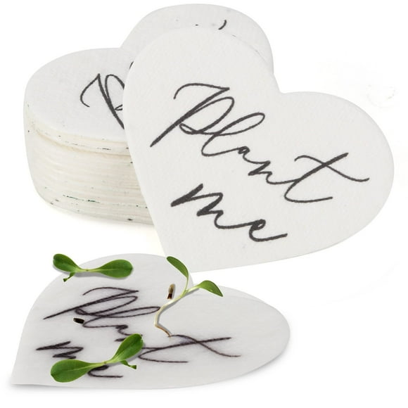 Souvenirs en Fleurs : Souvenirs en Papier Écologiques pour Fleurs Sauvages pour Mariages et Événements - 50 Sachets en Forme de Cœur pour Célébrer l'Amour et le Souvenir
