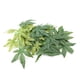 thumbnail image 3 of Planta Artificial Verde, Hojas Falsas, Acuario, Terrario para reptiles, decoraciones para un hermoso mundo submarino, 3 of 7