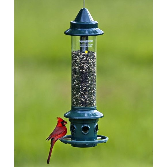 Brome Squirrel Buster Plus Bird Feeder