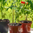 thumbnail image 4 of Nestingho 10Ud Varillas De Soporte Para Plantas En ABS Para Jardín Interior Y Plantas En Maceta, 4 of 7