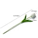thumbnail image 2 of Flores artificiales de seda con forma de tulipán, color blanco, 20 unidades, 35 cm Mandy's NA, 2 of 5