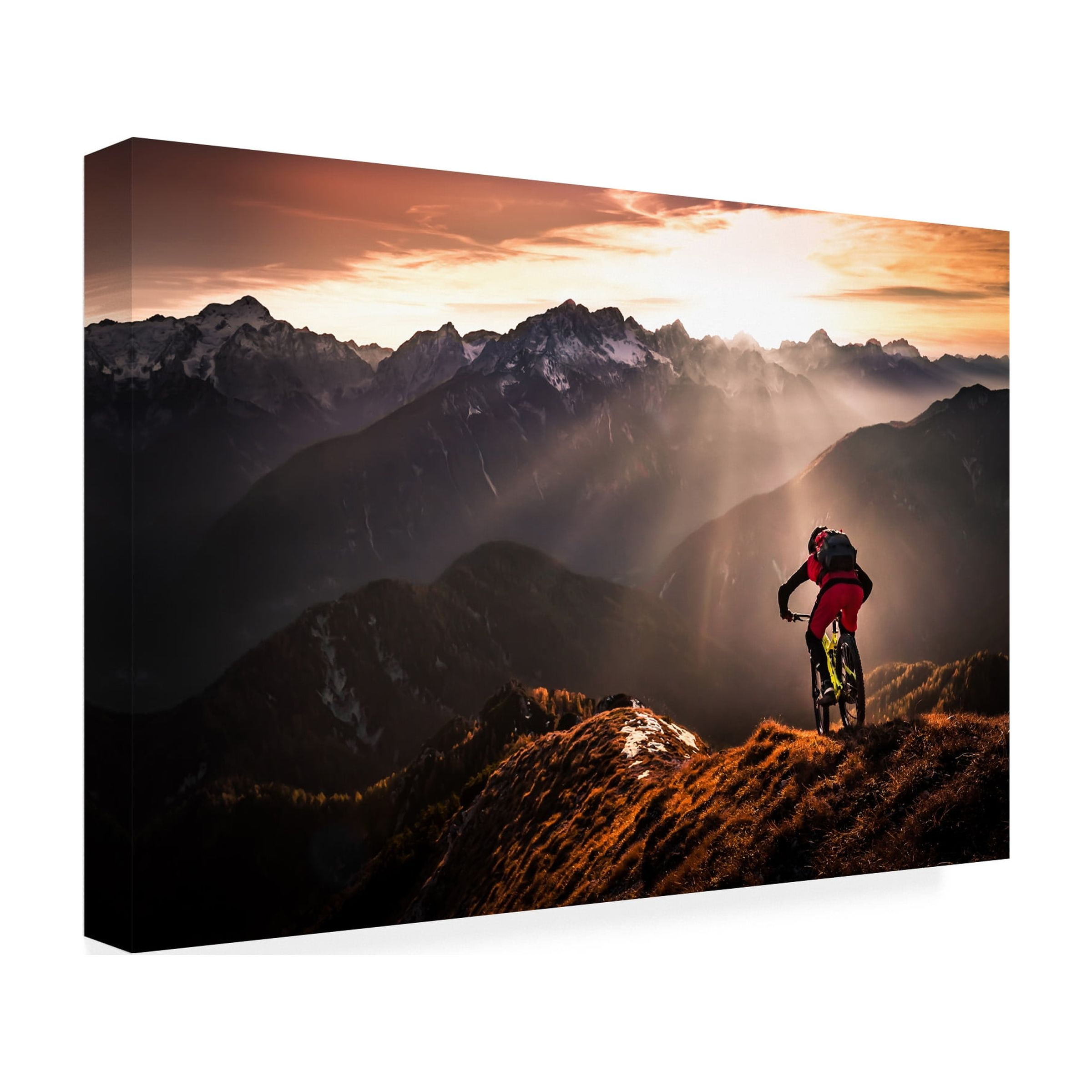Sandi Bertoncelj 'Just Ride' Canvas Art