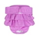 thumbnail image 1 of Pantalones fisiológicos para mascotas, pantalones fisiológicos para perros, pantalones antiacoso, pantalones para cambiar pañales, 1 of 6