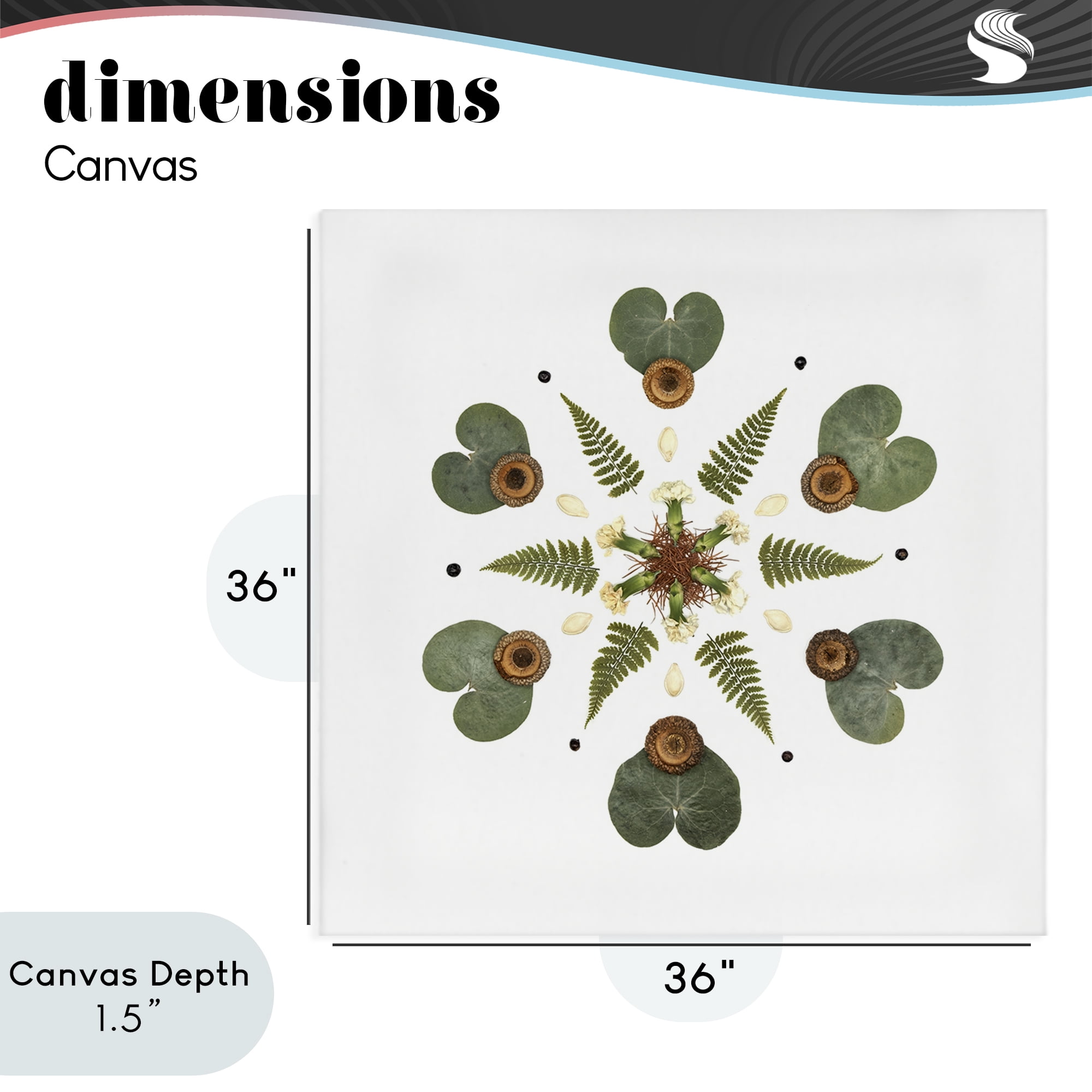 Stupell Industries Lily Pad & Fern Mandala Canvas Wall Art, design by Beth Adoette