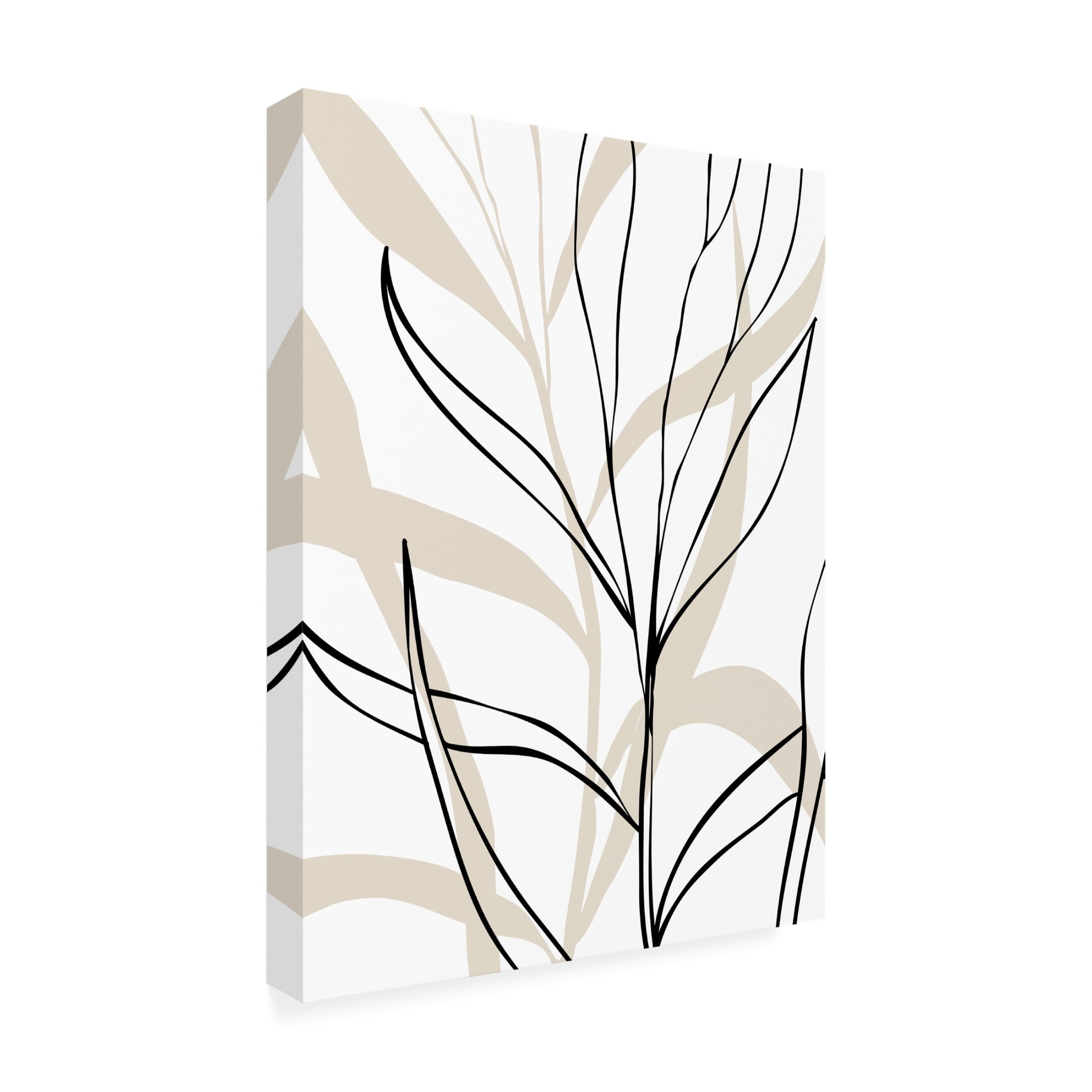 Trademark Fine Art Elena Ristova  Botanical Lines Art Canvas Wall Art