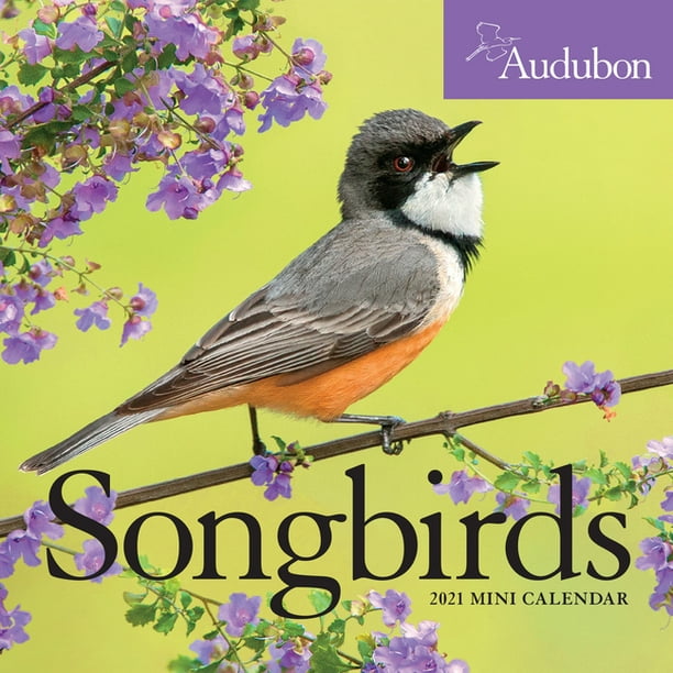 Audubon Songbirds Mini Wall Calendar 2021 - Walmart.com - Walmart.com
