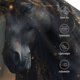 thumbnail image 3 of Fotbe Black And Gold White Horse Gorro Clásico de Béisbol, Gorra Ajustable con Broche Snapback, Gorro de Exterior de Algodón Suave, 3 of 6