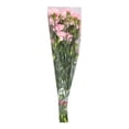 thumbnail image 3 of Bouquet de clavelinas 12 tallos, 3 of 4