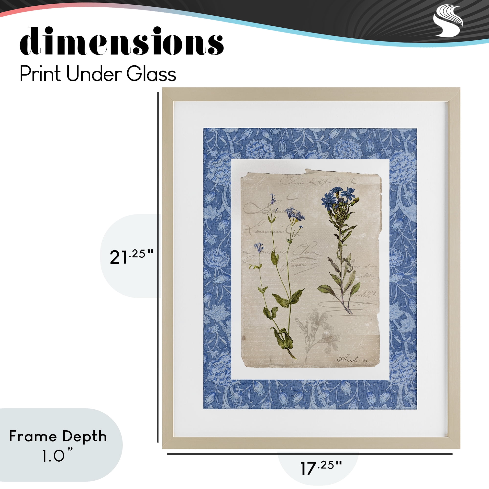 Stupell Industries Blue Vintage Botanicals Birch Framed Print Under Glass, design by Livi Finn