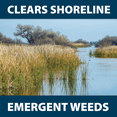 thumbnail image 5 of Airmax Shoreline Defense Emergent Weed Control, EPA-Registered Aquatic Herbicide, 1 Quart, 5 of 8