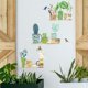 thumbnail image 2 of Un conjunto de pegatinas de pared, plantas en maceta, pájaros, autoadhesiva, pegatina de pared creativa para sala de estar, dormitorio, oficina, cocina JAMW Sencillez, 2 of 5