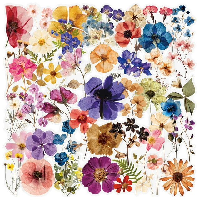 Calcomanía botánica transparente con estampado de flores prensadas