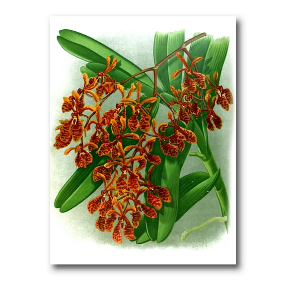 Flowers Retro II 8 in x 12 in Painting Canvas Art Print, by Designart