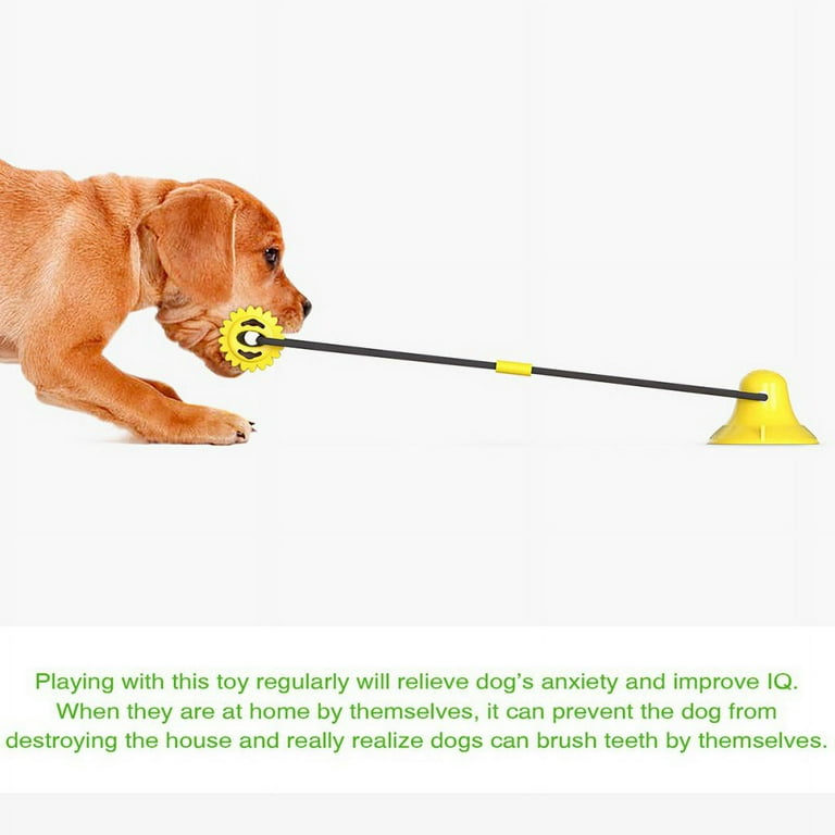 Indestructible dog ball pets at clearance home