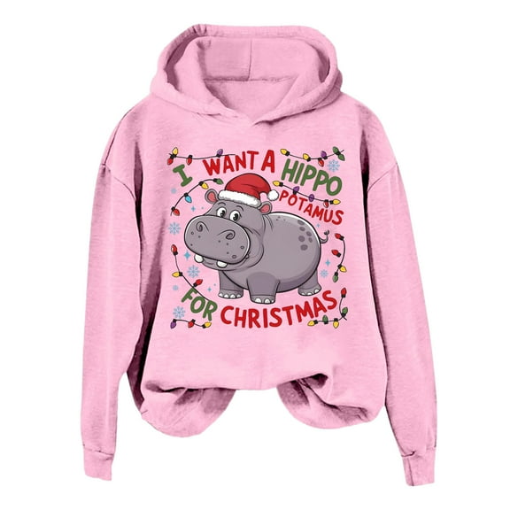 Fiaer Christmas Sweatshirts Womens I Want to Do a Hippo for Christmas Crew Neck Long Sleeve Pullovers Loose Fit Trendy Tops Pink XXL