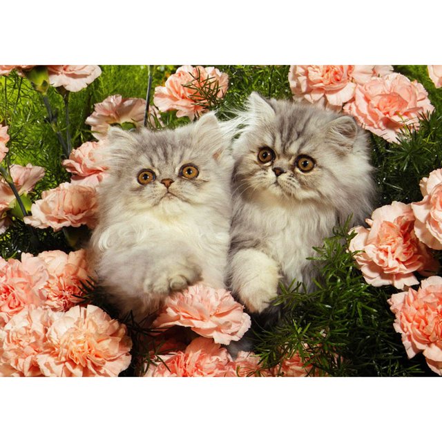 Taladro Pintura Diamante (DE4286) 5D DIY Flor Completa Gato Punto de Cruz Bordado Artesanía 40x50cm FLhrweasw Nuevo