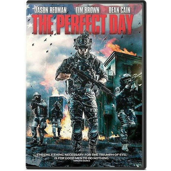 The Perfect Day (DVD)