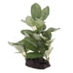 thumbnail image 2 of Plantas Plantas Artificiales Plantas Acuáticas Plantas Decorativas para Acuario Terrario Zulema  Plantas de agua de vivero de reptiles, 2 of 8