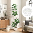 thumbnail image 4 of 5FT Artificial Plant Rubber Tree with White Sphere Resin Planter & Stone,Faux Plants Indoor Faux Floor Plant Faux Fiddle Leaf Fig Tree Indoor Artificial Tree Tall Plant Fake Tree for Home Decor, 4 of 7