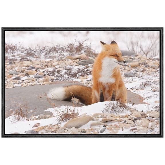 wall26 Framed Canvas Wall Art - Be a Unicorn in a Field of Horses - Giclee Print Gallery Wrap Modern Home Art Ready to Hang - 16"x24" Black