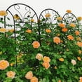 thumbnail image 6 of 4-Pack 86.7"H×19.7"W Black Peacock Style Metal Garden Trellis Rustproof Support for Climbing Plants & Flowers, 6 of 16