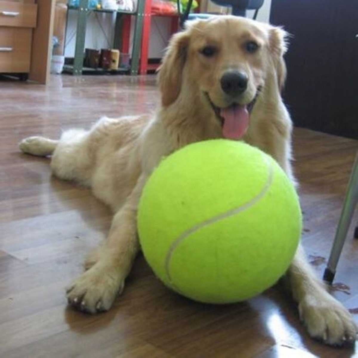 PROtastic Extra large tennis ball Great fun for you and your dog with free ball pump