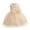 Beige, variant on Pejock 0-3 Years Kids Pageant Flower Girl Dress Little Girls Party Wedding Formal Dresses Toddler Baby Girls Sleeveless Lace Bow Mesh Dress Gauze Dress Princess Dress