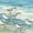 Surfside Sandpipers, variant on Surfside Sandpipers Wall Art - Horizontal Canvas Wall Art - Living Room Wall Decor - Animal Canvas - Yellow And Blue Decor By Paul Brent - 12" x 8"
