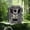 Army Green, variant on Outdoor Tracking Recording Camera Night Vision PIR Infrared for Wildlife Monitoring Farm and Orchard Surveillance High-Resolution Photography Hunting Trail Cam