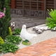 thumbnail image 4 of Palomas Blancas Artificiales, Plumas, Pájaros, Jardín, Decoración del Hogar, Juguete Educativo Para Niños, 4 of 7