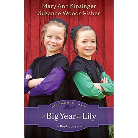 Pre-Owned Big Year for Lily: 3 (The Adventures of Lily Lapp) Paperback
