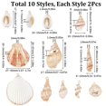 thumbnail image 2 of Charm SUNNYCLUE, 20 unidades, conchas de cauri naturales con ribete dorado, 2 of 6