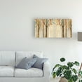 thumbnail image 3 of Trademark Fine Art 'Down to the Woods Autumn Teal Crop' Canvas Art by Avery Tillmon, 3 of 3