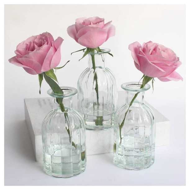 Jarrón HANIHUA de cristal transparente para decoración de flores, juego de 3