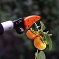 thumbnail image 4 of Transemion Convenient And Practical Telescopic Pruning Shears Aluminium Alloy Materials Easy, 4 of 6