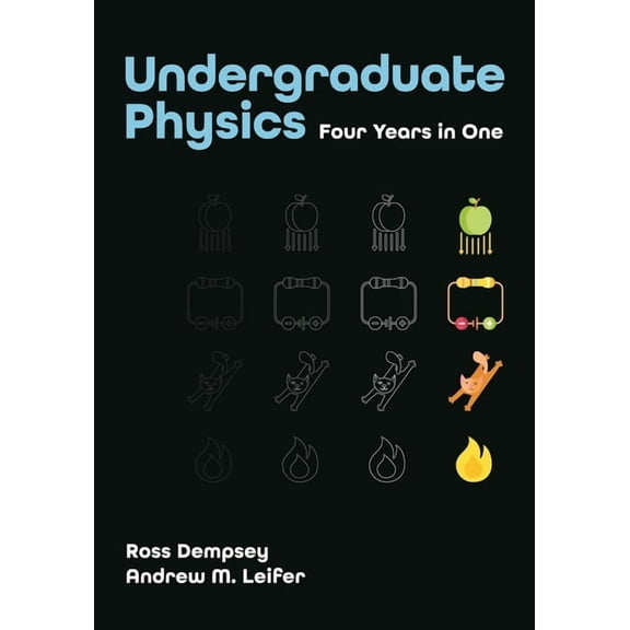 Undergraduate Physics: Four Years in One, (Paperback)