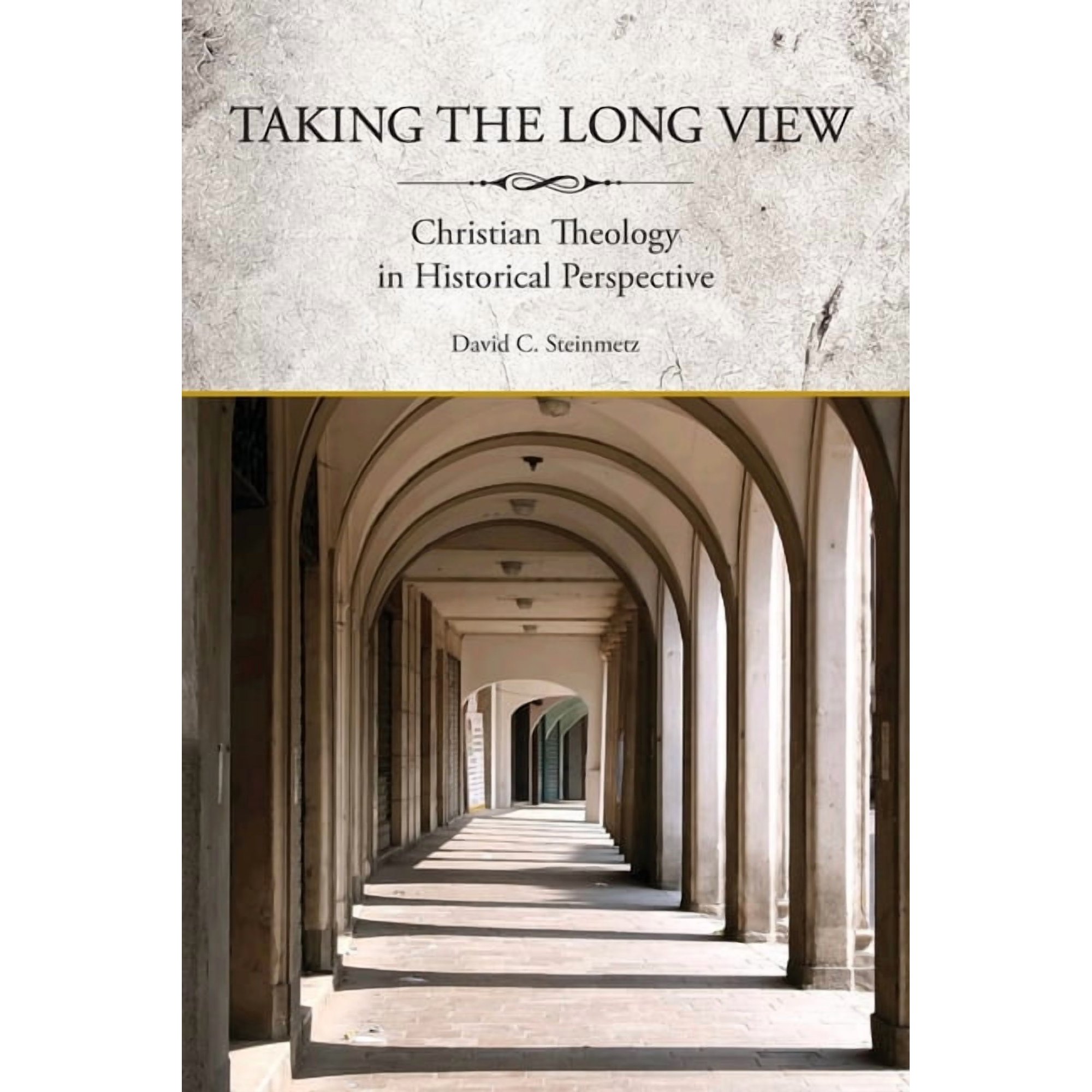 Taking the Long View: Christian Theology in Historical Perspective (Paperback)