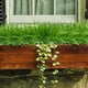 thumbnail image 2 of Plantas artificiales Wosthever 2 piezas Verde, 2 of 6