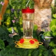 thumbnail image 4 of Comedero para colibríes Joliyou, de cristal, 300 ml, para colgar en exteriores, 4 of 5