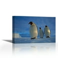 thumbnail image 1 of Emperor Penguin trio on sea ice in midnight twilight, Ekstrom Ice Shelf, Antarctica - Contemporary Fine Art Giclee on Canvas Gallery Wrap - wall décor - Art painting - 36 x 24 Inch - Ready to Hang, 1 of 2