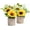 As Pictures074, variant on Sunflower Decor Artificial Potted Plants Yellow Fake Flower in Pots, Artificial Sunflower for Bathroom Home Kitchen Rustic Table Centerpiece Shelf Decor