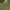 Olive, variant on Time and Tru Women's One Buckle EVA Sandals