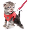 thumbnail image 4 of Dog Harness and Lead Set, Soft Mesh Padded Harness for Puppies and Cats, Reflective, Adjustable, Breathable Chest Harness for Walking, Running, Training （Red,S）, 4 of 7