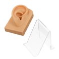 thumbnail image 4 of KAKOWELY 1 Set of Decorative Fake Ear Multi-function Ear Model Desktop Earring Holder Earring Accessory,3.15X"X2.76"X1.97", 4 of 5
