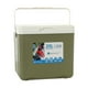 thumbnail image 4 of Nevera portátil Zulema 20 l hielera pequeña Verde, 4 of 8
