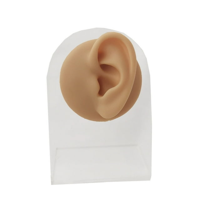 Modèle d'Oreille en Silicone Outil de Simulation de Perçage Affichage d'Oreille Tridimensionnel pour Enseignement Acupuncture Oreille Gauche/rack