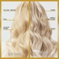 thumbnail image 3 of L'Oréal Paris Le Color Gloss, One Step Hair Gloss, 3 of 7