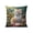 A, variant on Yhmxh Cat Paint 18x18 Pillow Cover, Funny Cats Decorative Throw Pillow Cover Breathable Cotton Linen Throw Pillow Case, Decorative Cushion Cover for Couch, Sofa, Soft and Durable for Home Decor