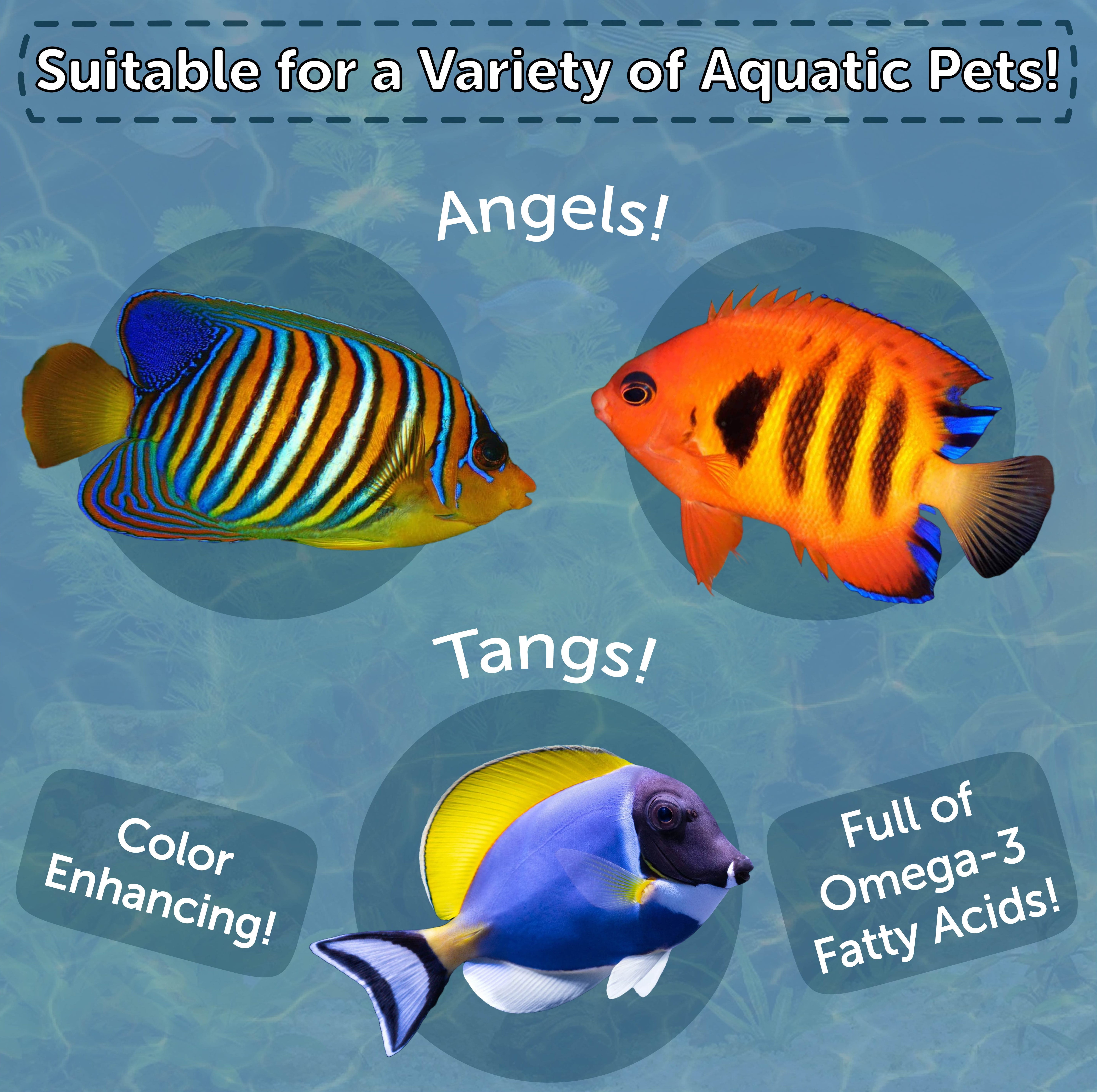 Marine Fish Flakes 3-lbs @ $49.99 Marine Flakes for ALL Marine Fish. These Flakes Made in USA!