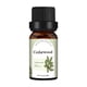 thumbnail image 1 of Clearance Aceites esenciales Elementos esenciales para el hogar Vela Unilateral de 10ML,aromaterapia de naranja dulce,aceite de árbol de té,lavanda,Material de vela artesanal,aceit(Buy 2 Save 10%), 1 of 2